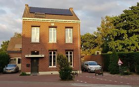 Anno 1919